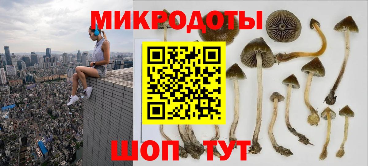 Псилоцибиновые грибы мухоморы Тимашёвск