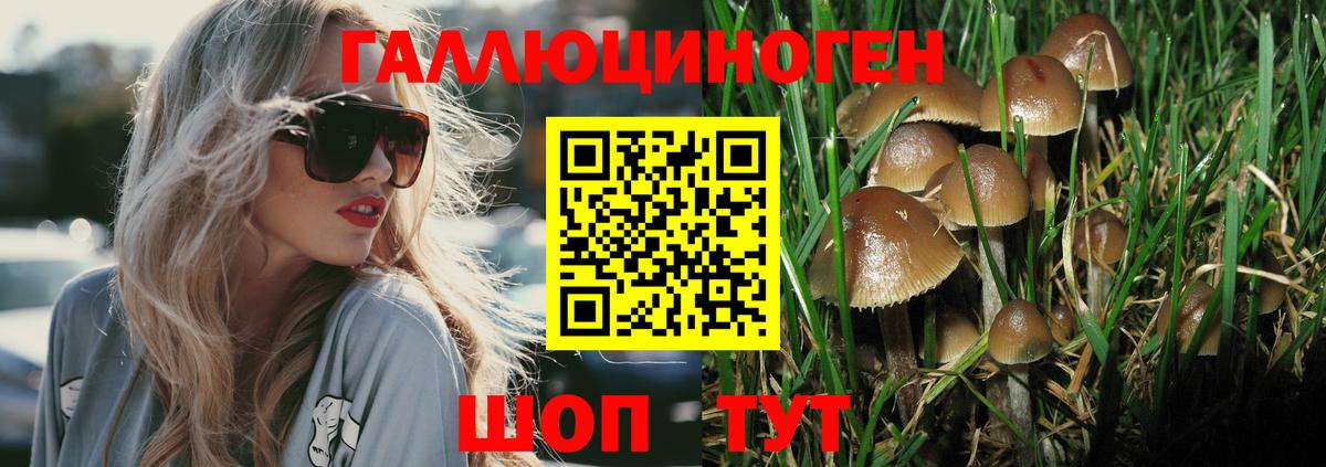 где купить   Псилоцибиновые грибы прущие грибы  Вход с VPN  Тимашёвск 